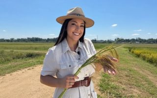 entre-nos-experience-campo-grande-recebe-evento-sobre-agro