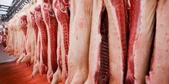 exportacao-de-carne-suina-bate-recorde-em-janeiro