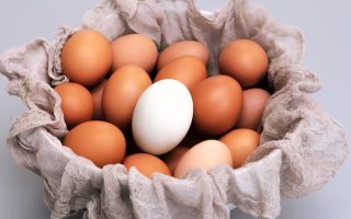 exportacao-de-ovos-do-brasil-aos-eua-dispara-mais-de-800