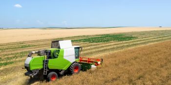 exportacao-de-soja-do-brasil-segue-abaixo-em-fevereiro