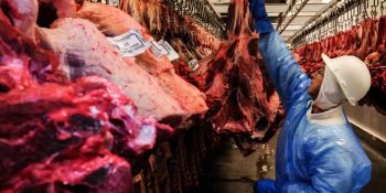 exportacoes-de-carne-bovina-caem-22-em-agosto