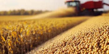 exportacoes-de-soja-em-marco-deve-atingir-milhoes-de-toneladas