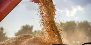 exportacoes-de-soja-sobem-para-333-milhoes-de-toneladas