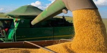 exportacoes-do-agro-de-ms-passam-de-us-10-bilhoes