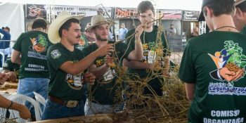 festa-do-pe-de-soja-solteiro-reune-produtores-em-ms