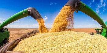fim-da-moratoria-da-soja-pode-custar-us-82-bilhoes-ao-brasil