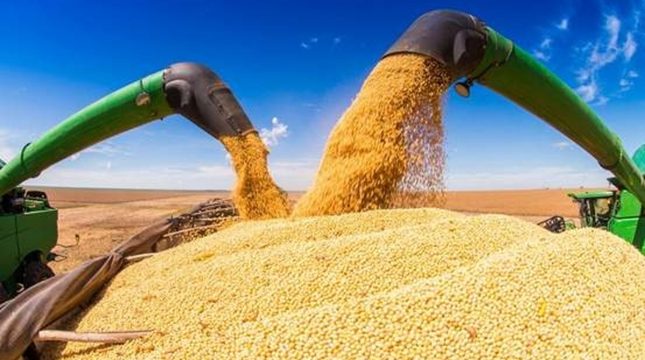 fim-da-moratoria-da-soja-pode-custar-us-82-bilhoes-ao-brasil