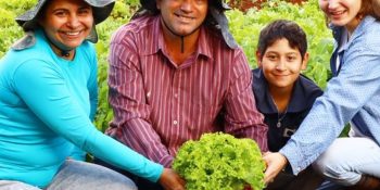 finep-destina-r-220-milhoes-a-agricultura-familiar