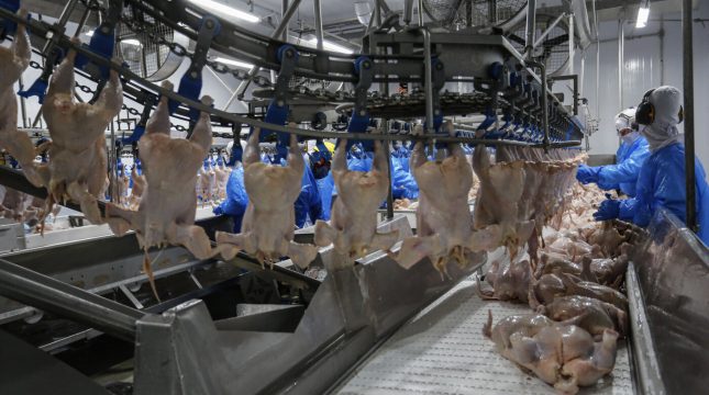 frango-a-ue-negocios-na-sial-paris-preve-retomada-das-vendas