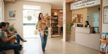 gastos-com-pets-podem-entrar-na-lista-de-deducoes-do-ir