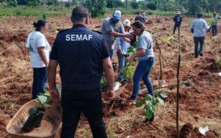 gestao-semaf-fortalece-agricultura-familiar-dourados