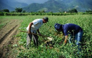 governo-amplia-concessoes-ao-agro-sobre-dividas-rurais