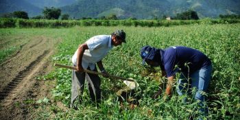 governo-amplia-concessoes-ao-agro-sobre-dividas-rurais
