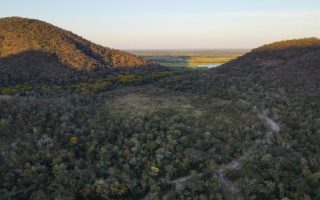 governo-de-ms-investe-em-conservacao-do-pantanal