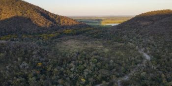 governo-de-ms-investe-em-conservacao-do-pantanal