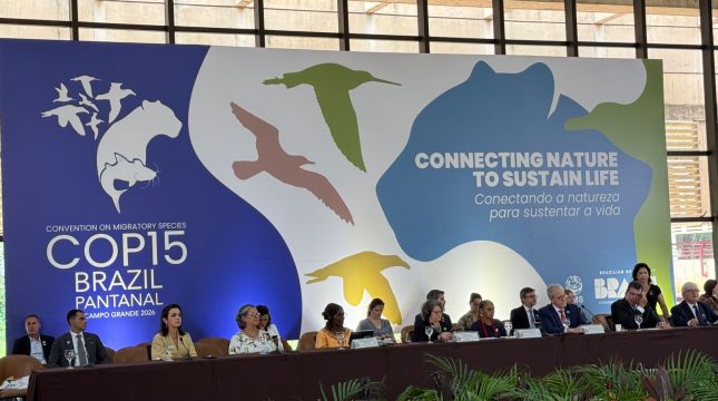 governo-define-metas-para-cop15-em-campo-grande