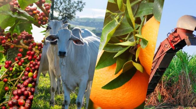 governo-foca-em-5-produtos-do-agro-para-destinos-alternativos