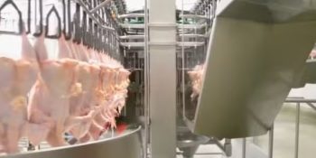 guerra-no-oriente-medio-pode-impactar-carne-de-frango-do-brasil