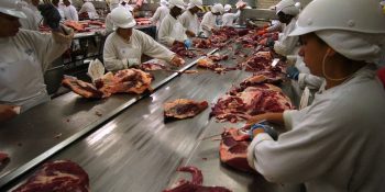hoje-ue-comeca-a-restringir-entrada-de-carnes-do-brasil