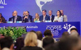 hospitalidade-campo-grande-destaca-cop15