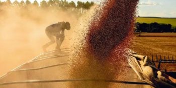 inadimplencia-no-agro-brasileiro-sobe-para-82-mostra-serasa
