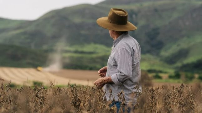 inadimplencia-no-agro-brasileiro-sobe-para-88-e-bate-recorde