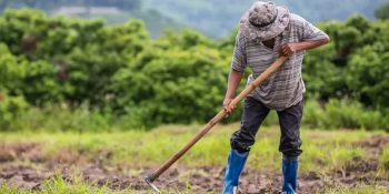 inadimplencia-no-credito-rural-volta-a-se-aproximar-de-recorde