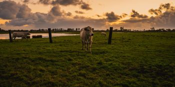 incra-autoriza-compra-fazenda-navirai-reforma-agraria