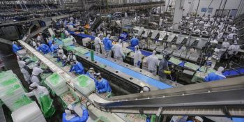 industria-de-ms-tem-crescimento-de-163-em-20-anos