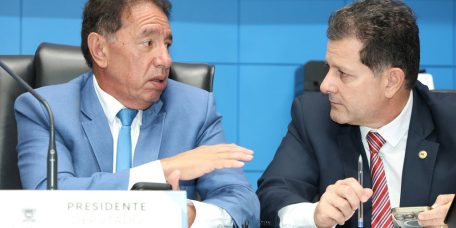 juruva-ave-simbolo-mata-atlantica-ms