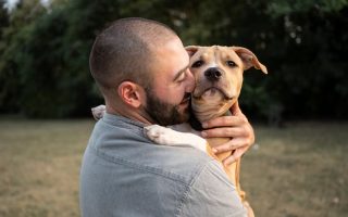 luto-por-pet-sofrimento-se-iguala-a-perda-de-parente-proximo