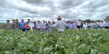 maracaju-sera-sede-dia-campo-safra