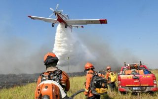 medidas-facilitam-prevencao-incendios-florestais-ms