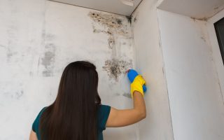 mistura-caseira-elimina-mofo-e-ainda-desinfeta-a-parede