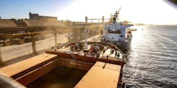 ms-turbina-exportacoes-em-2026-e-alcanca-us-57-bilhoes