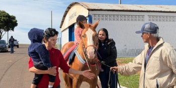 navirai-inicia-avaliacoes-implantacao-equoterapia