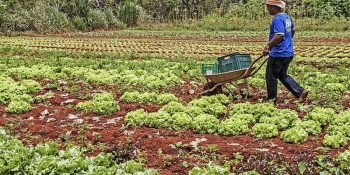 nova-medida-provisoria-permitira-renegociacao-de-dividas-do-agro