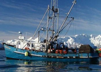 novo-alvo-de-trump-groenlandia-vive-da-pesca-de-camarao