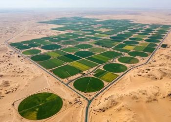 o-egito-esta-convertendo-hectares-de-deserto-em-terras-agricolas