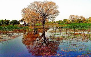 outono-comeca-calor-ms