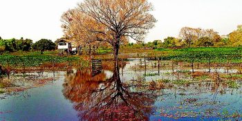 outono-comeca-calor-ms