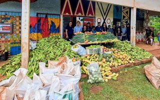 paa-indigena-distribui-toneladas-alimentos-dourados