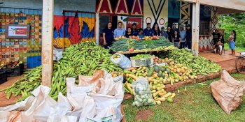 paa-indigena-distribui-toneladas-alimentos-dourados