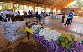 paa-indigena-dourados-avanca-seguranca-alimentar