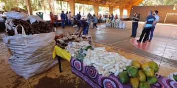 paa-indigena-dourados-avanca-seguranca-alimentar