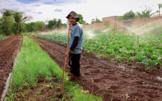 paa-municipal-atendera-vulneraveis-campo-grande