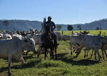 parlamento-europeu-aprova-medidas-de-protecao-para-o-agro