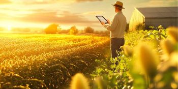 pedidos-de-recuperacao-judicial-no-agro-aumentaram-564