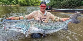 pescador-fisga-dois-pintados-gigantes-no-rio-dourados