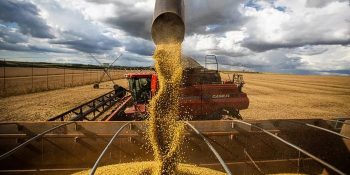 pib-da-agropecuaria-cresce-2-no-trimestre-e-soma-7-do-pib